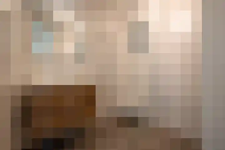 Bosch van Rosenthalstraat 2 Groningen thumbnail 31