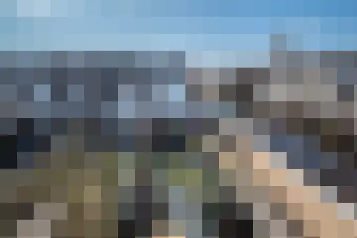 Bosch van Rosenthalstraat 2 Groningen thumbnail 36