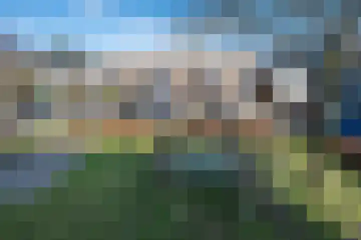 Bosch van Rosenthalstraat 2 Groningen thumbnail 5