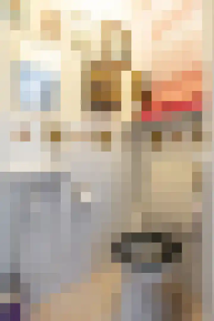 Bosch van Rosenthalstraat 6 Groningen thumbnail 32