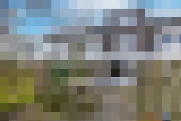 Bosch van Rosenthalstraat 6 Groningen thumbnail 36