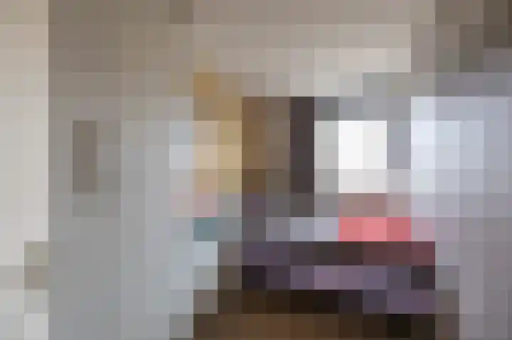 Bosch van Rosenthalstraat 6 Groningen thumbnail 43
