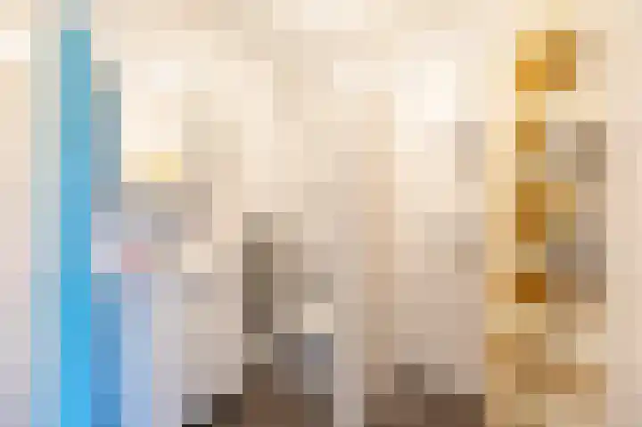 Bosch van Rosenthalstraat 6 Groningen thumbnail 48