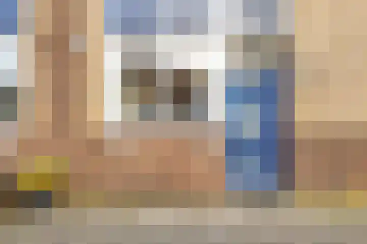 Bosch van Rosenthalstraat 6 Groningen thumbnail 9