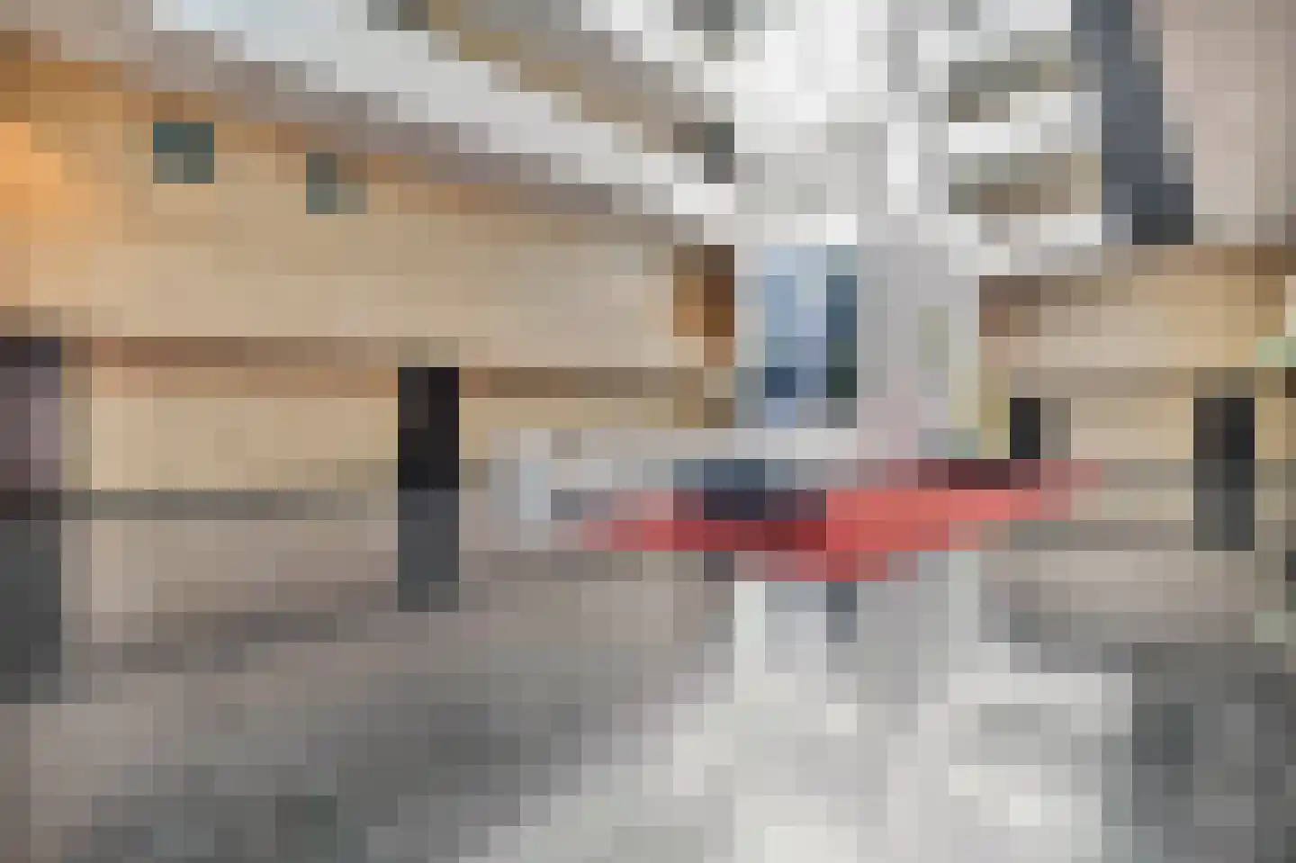 Boschcour 3 A Maastricht thumbnail 19