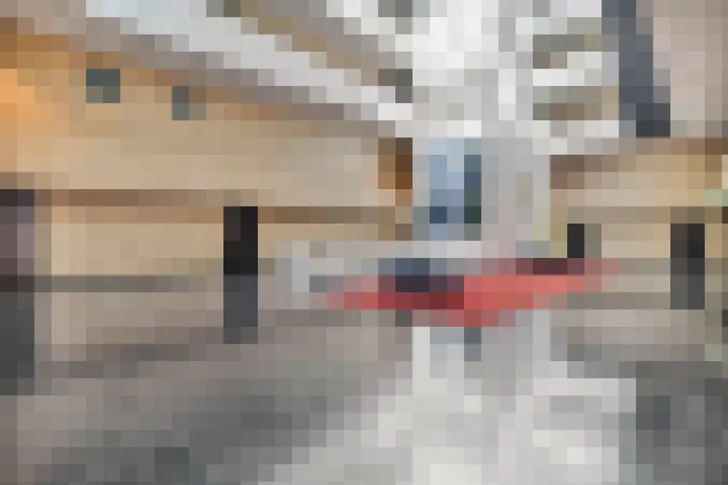 Boschcour 3 A Maastricht thumbnail 22