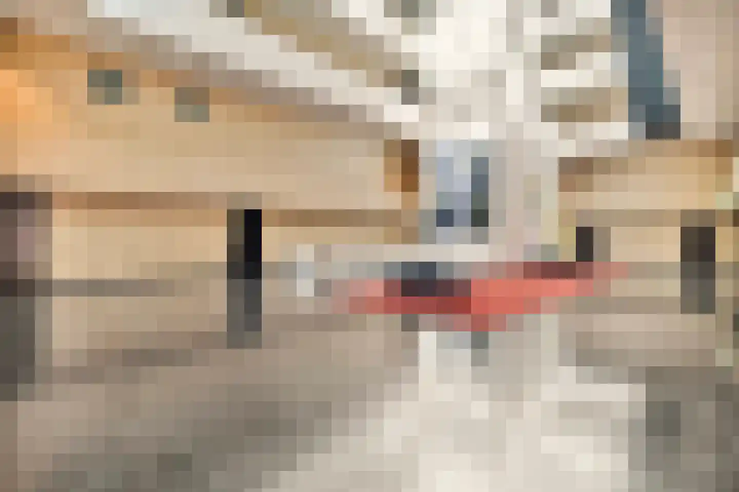 Boschcour 7 A Maastricht thumbnail 22