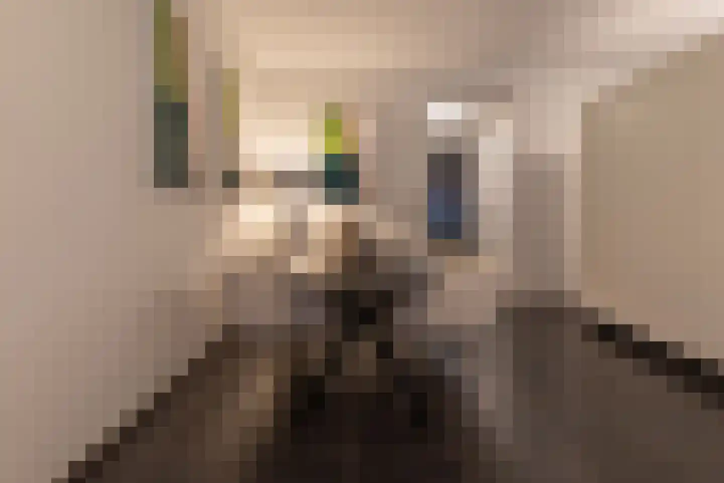 Boschcour 7 A Maastricht thumbnail 6