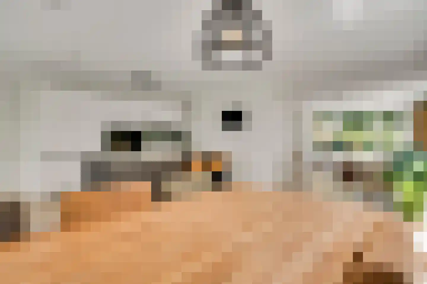 Boschdal 17 Herten thumbnail 16