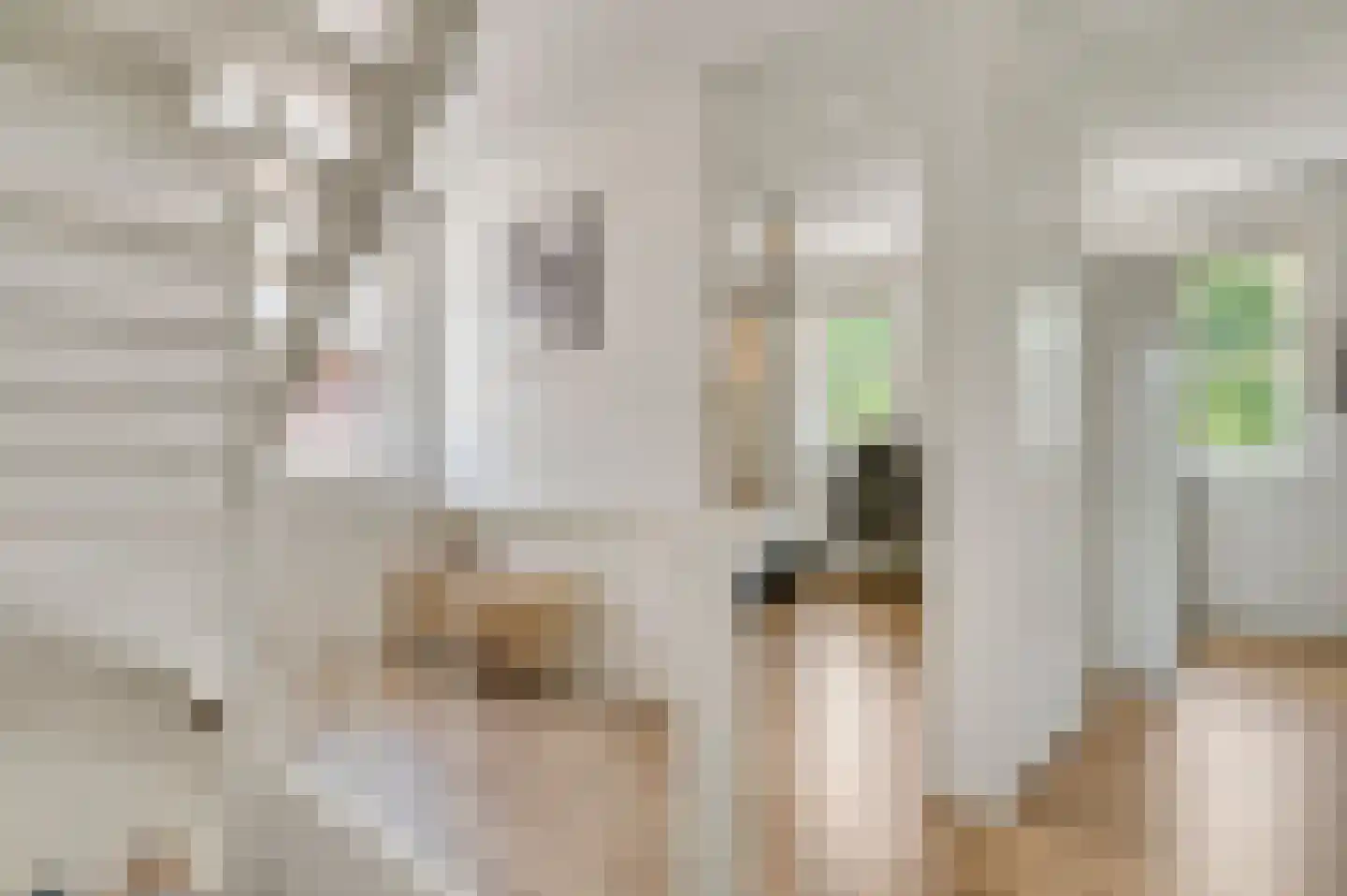Boschdal 17 Herten thumbnail 23