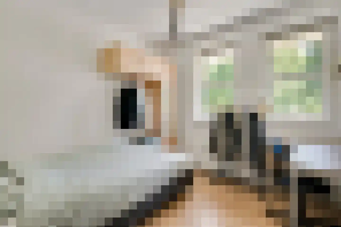 Boschdal 17 Herten thumbnail 28
