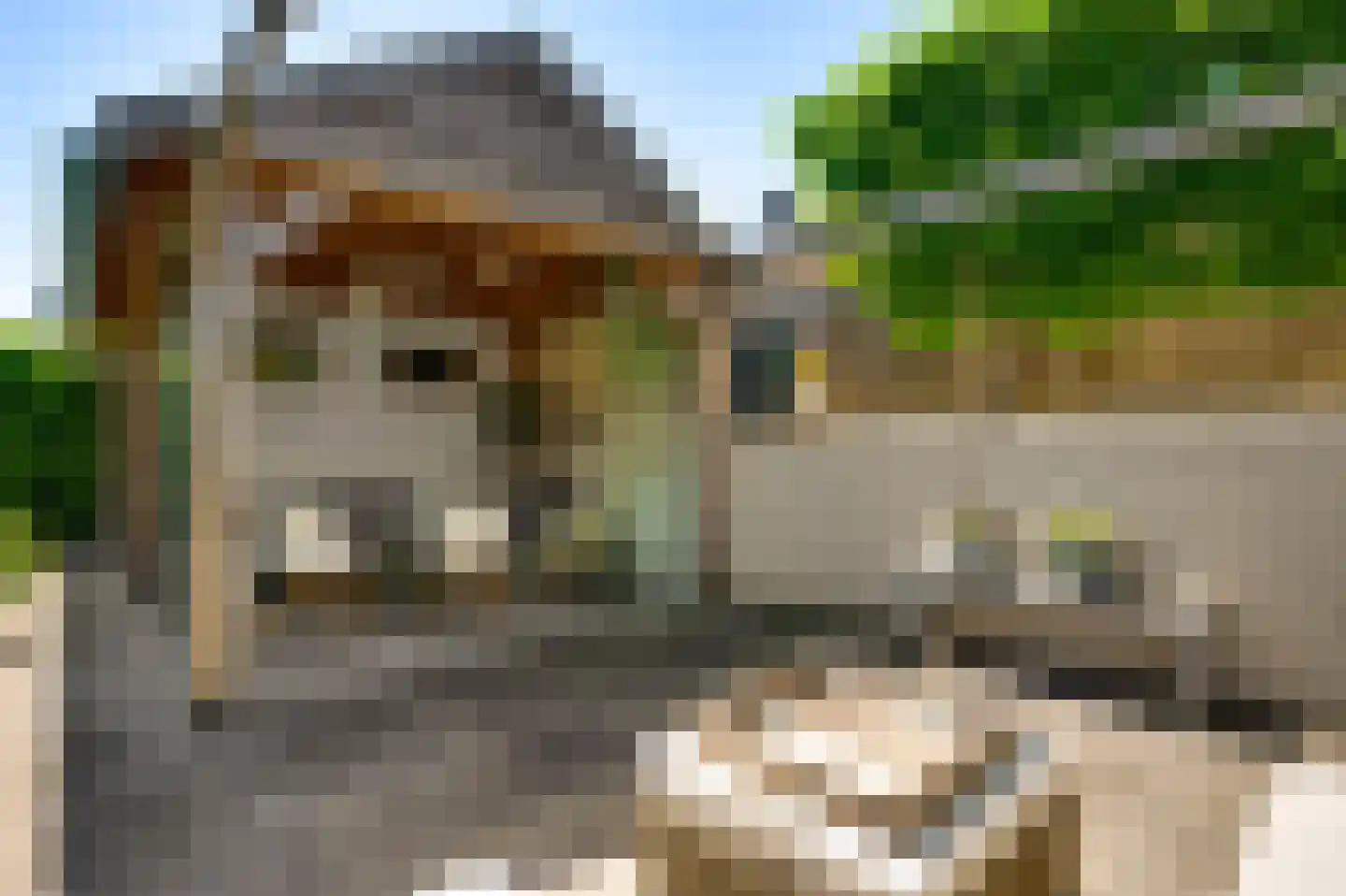Boschdal 17 Herten thumbnail 39