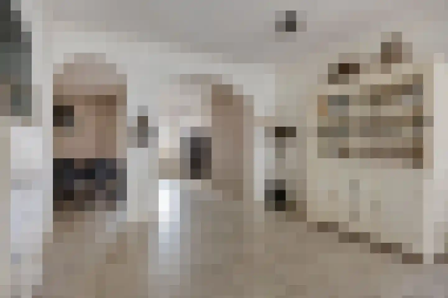 Boschdijk 1045 Eindhoven thumbnail 11