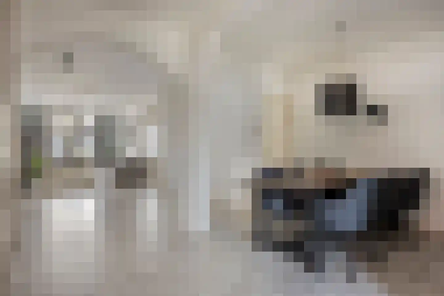 Boschdijk 1045 Eindhoven thumbnail 13
