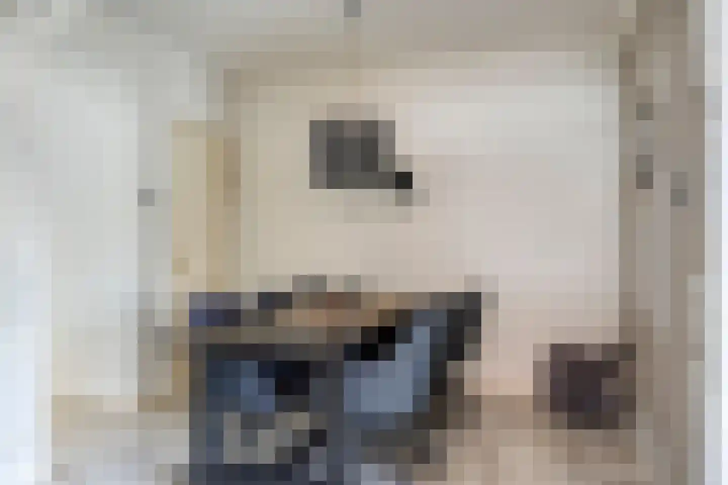 Boschdijk 1045 Eindhoven thumbnail 16