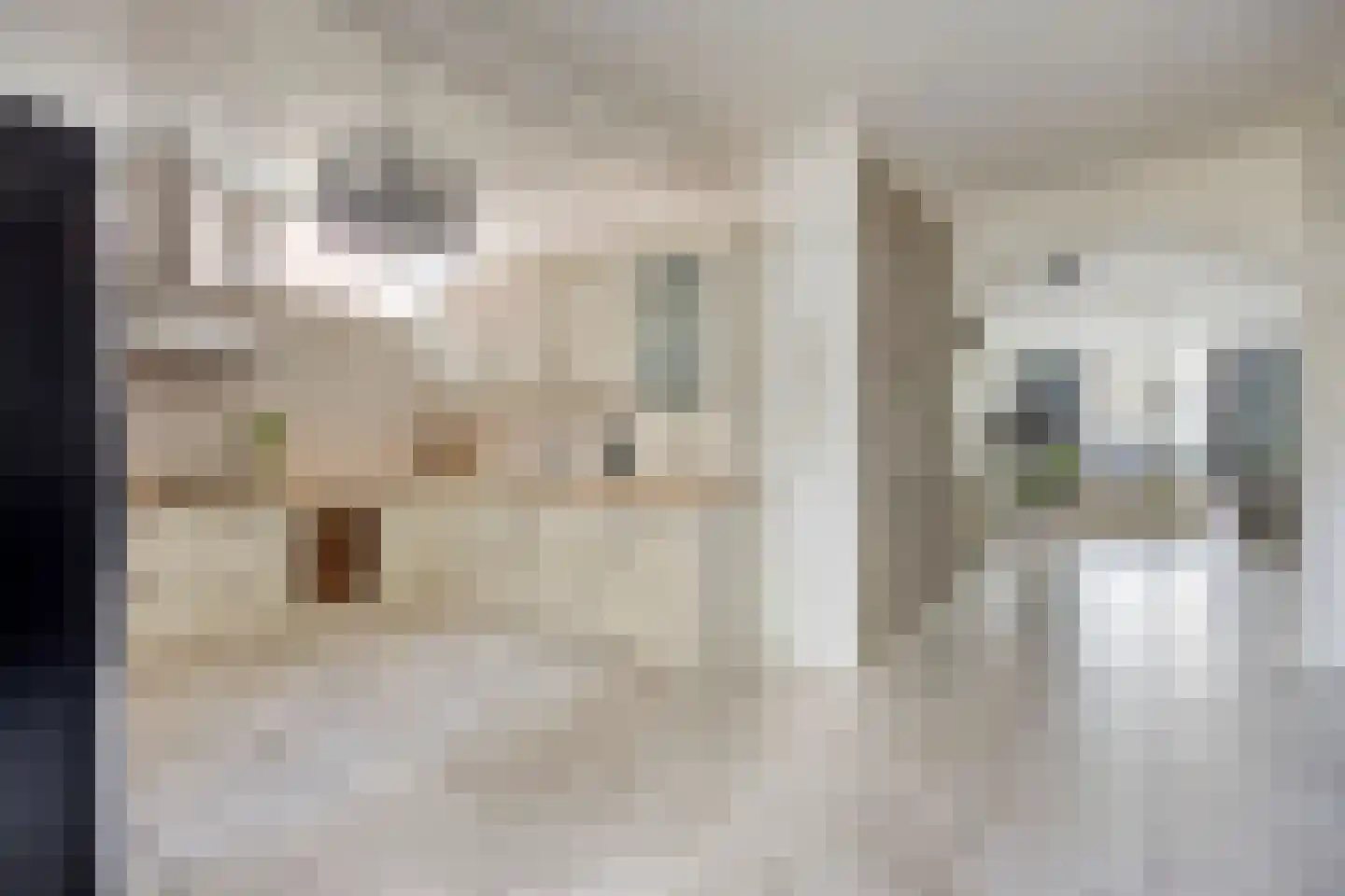 Boschdijk 1045 Eindhoven thumbnail 19