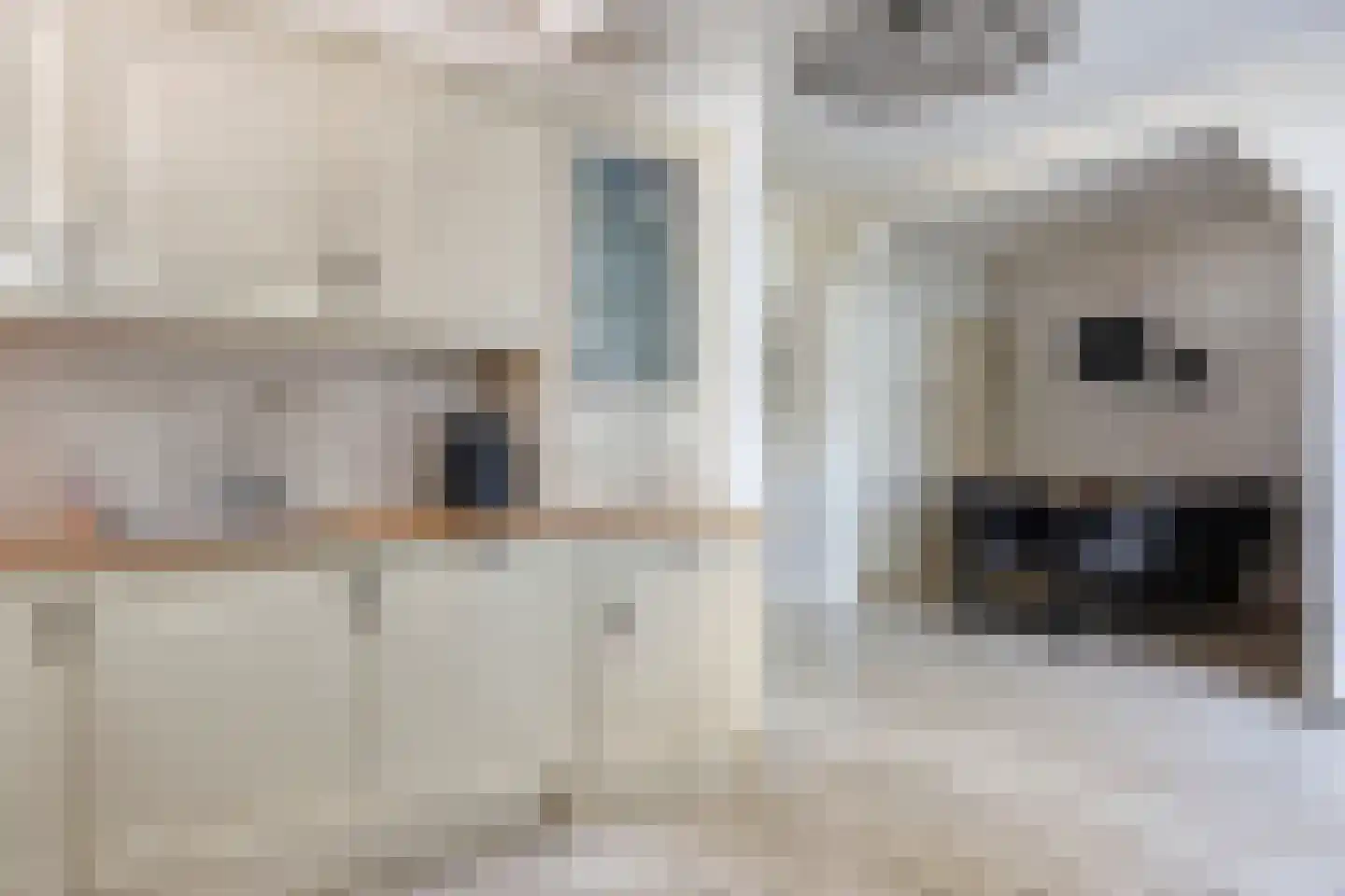 Boschdijk 1045 Eindhoven thumbnail 22