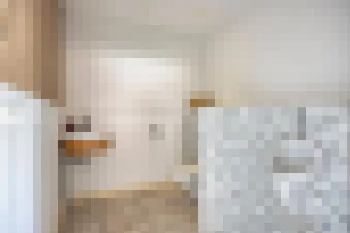 Boschdijk 1045 Eindhoven thumbnail 25