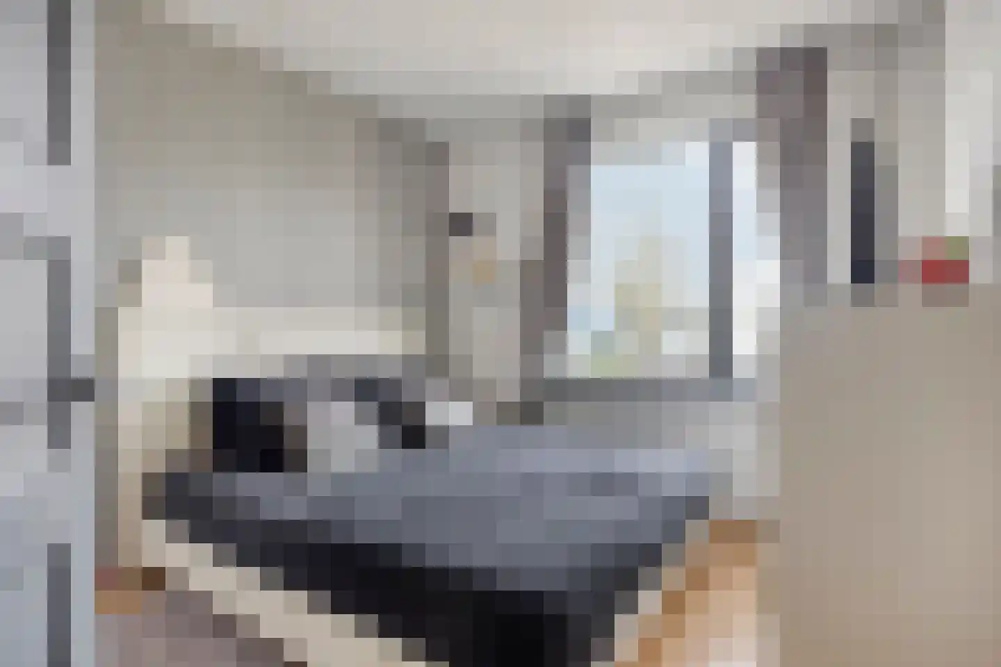 Boschdijk 1045 Eindhoven thumbnail 36