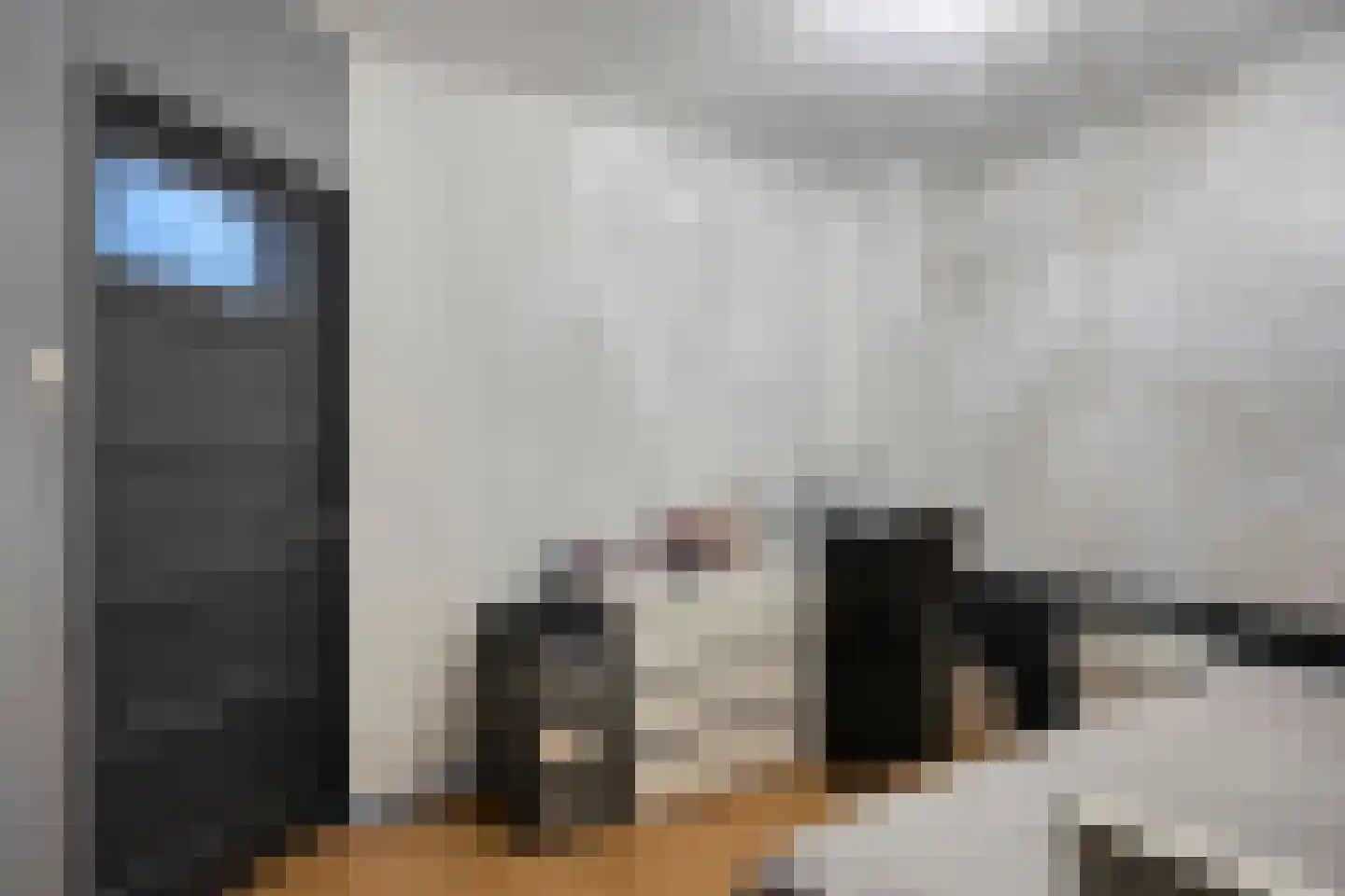 Boschdijk 1045 Eindhoven thumbnail 39