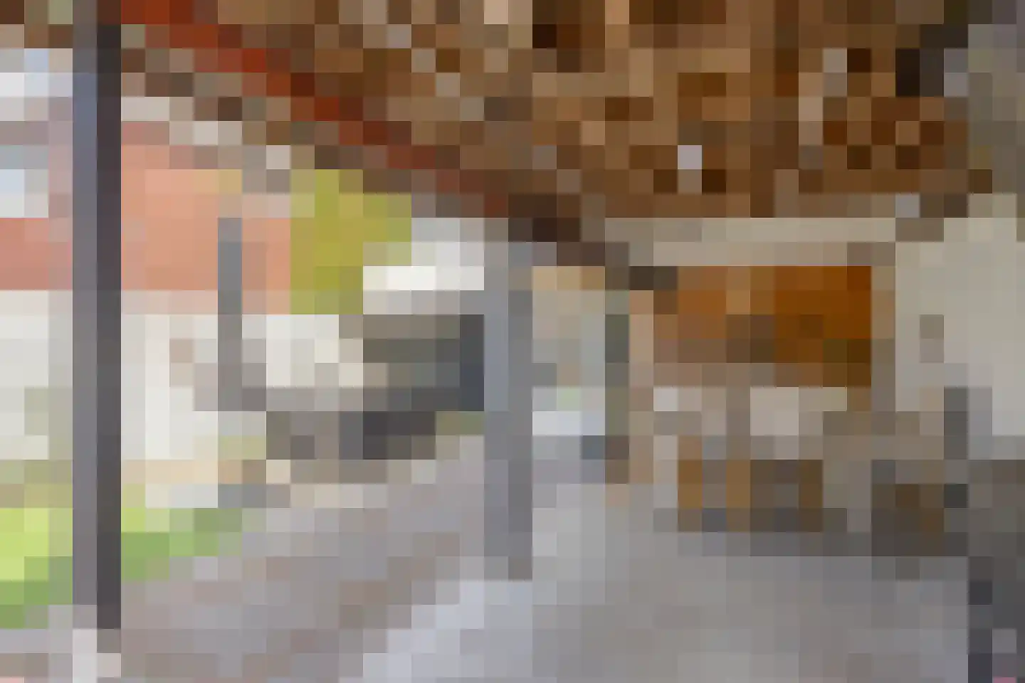Boschdijk 1045 Eindhoven thumbnail 47