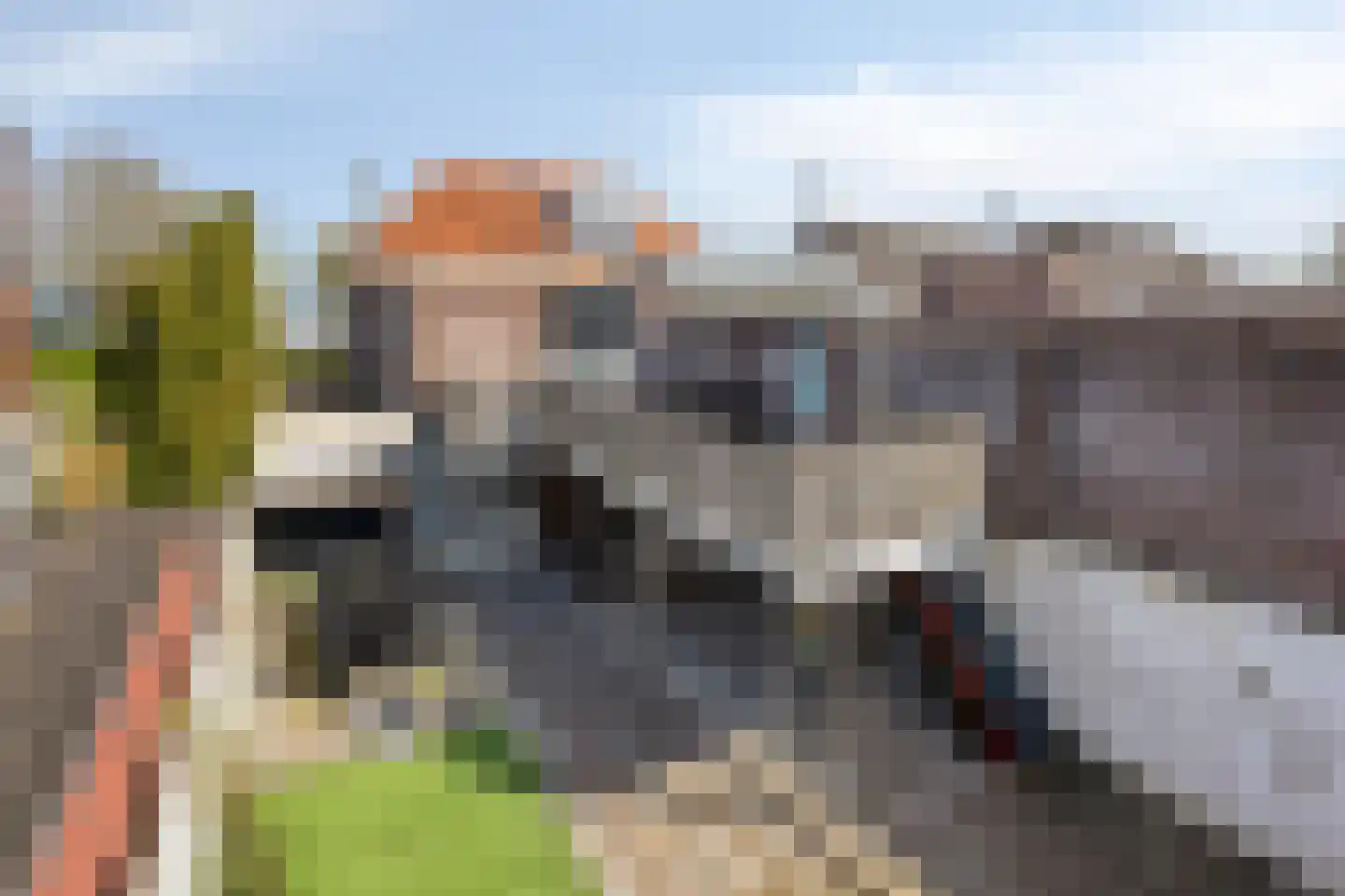 Boschdijk 1045 Eindhoven thumbnail 53