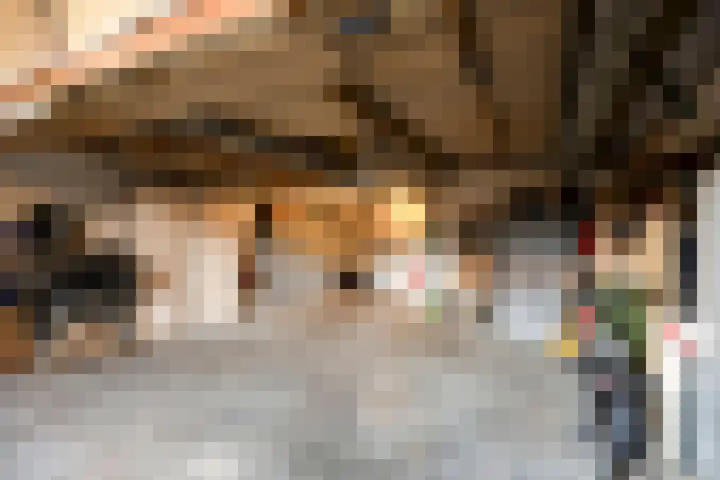 Boschdijk 1045 Eindhoven thumbnail 55