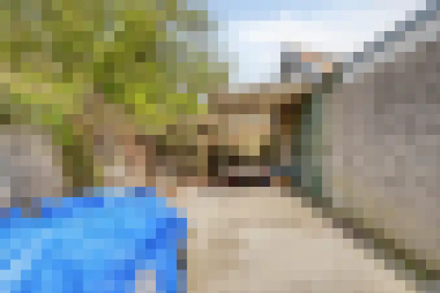 Boschdijk 1045 Eindhoven thumbnail 61
