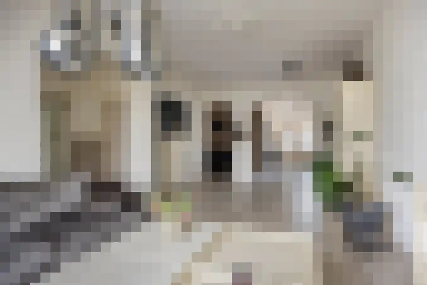Boschdijk 1045 Eindhoven thumbnail 7
