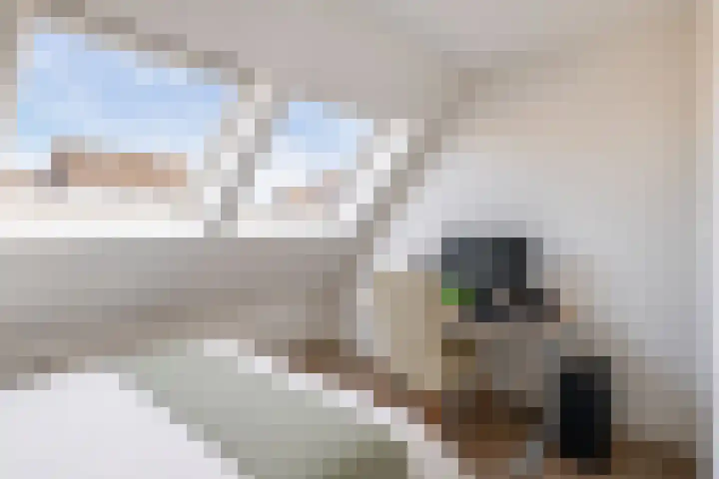 Boschdijk 161 B Eindhoven thumbnail 16