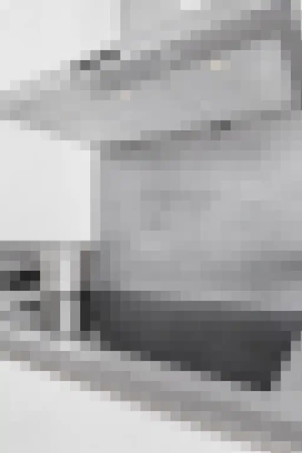 Boschdijk 161 Eindhoven thumbnail 19