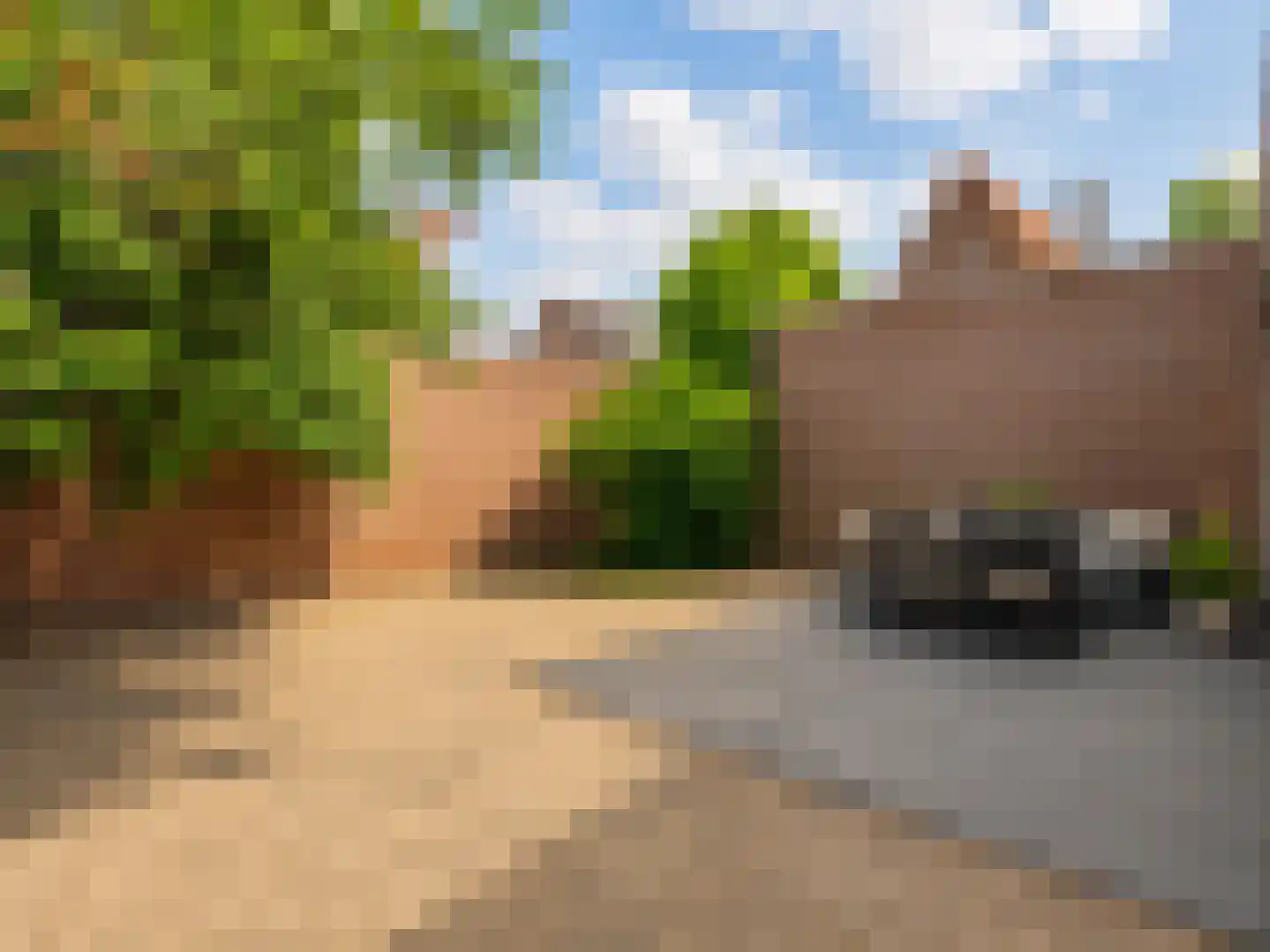 Boschdijk 161 Eindhoven thumbnail 28