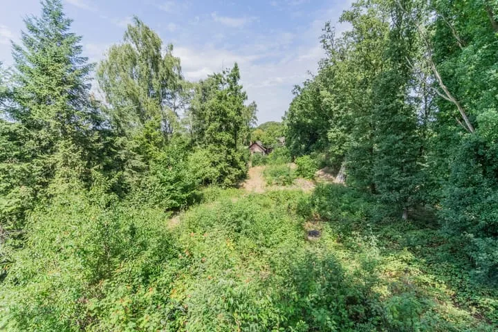 Boschdijk 18 Budel thumbnail 51