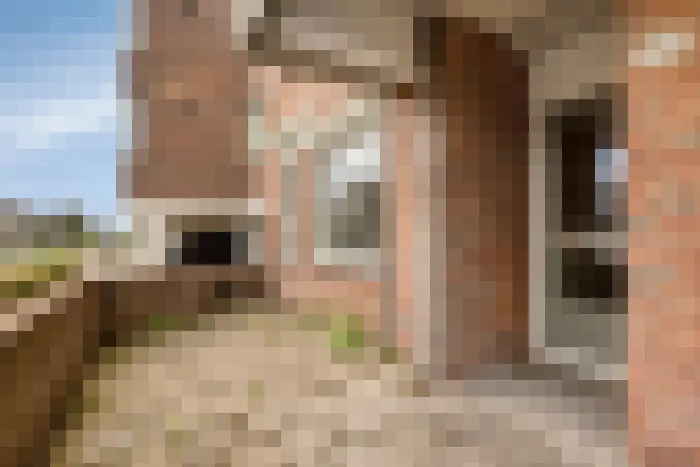 Boschdijk 191 Eindhoven thumbnail 11