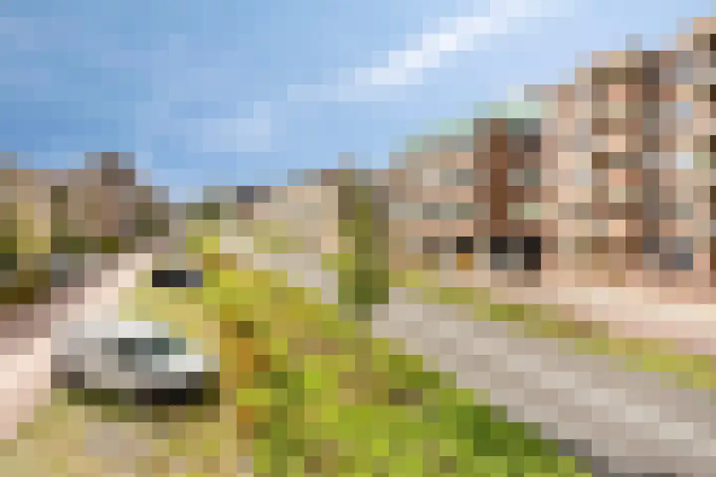 Boschdijk 191 Eindhoven thumbnail 29