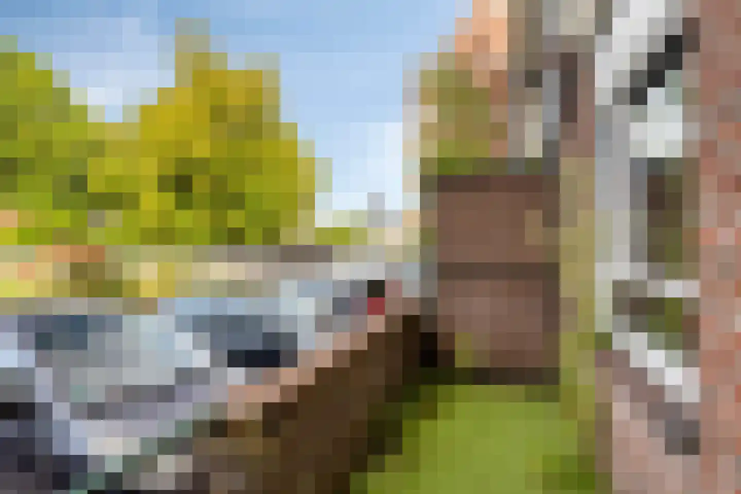Boschdijk 191 Eindhoven thumbnail 9
