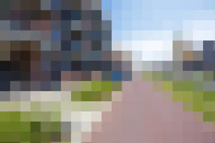 Boschdijk 193 Eindhoven thumbnail 18