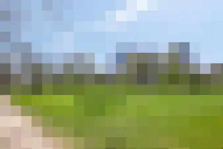 Boschdijk 193 Eindhoven thumbnail 20