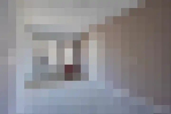 Boschdijk 193 Eindhoven thumbnail 6