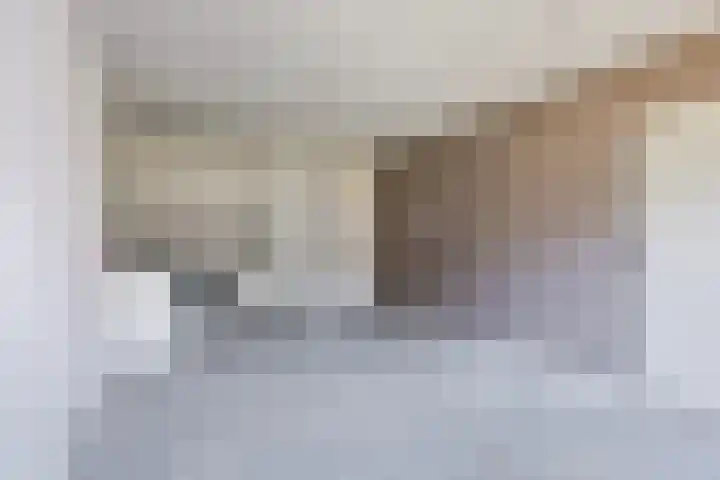 Boschdijk 193 Eindhoven thumbnail 9