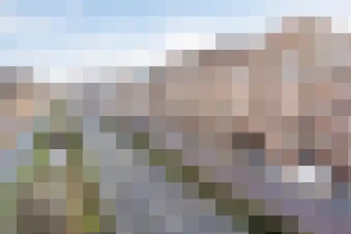 Boschdijk 195 A Eindhoven thumbnail 32