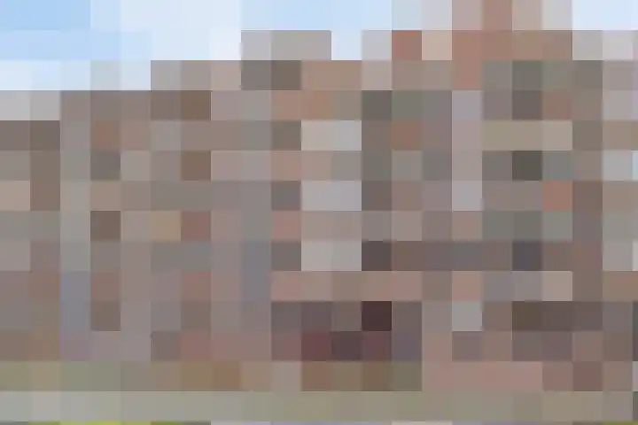 Boschdijk 197 G Eindhoven thumbnail 32