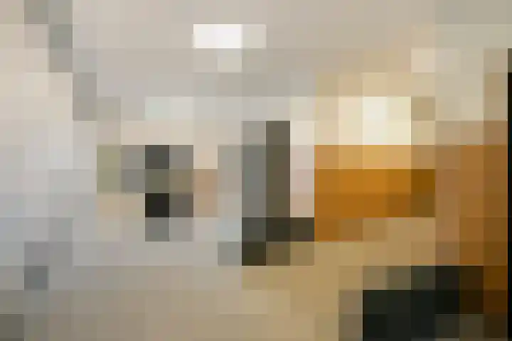 Boschdijk 199 Eindhoven thumbnail 10