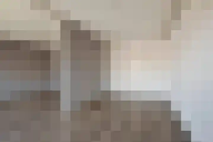 Boschdijk 199 Eindhoven thumbnail 20