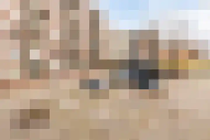 Boschdijk 201 Eindhoven thumbnail 26