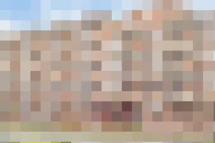 Boschdijk 201 Eindhoven thumbnail 28