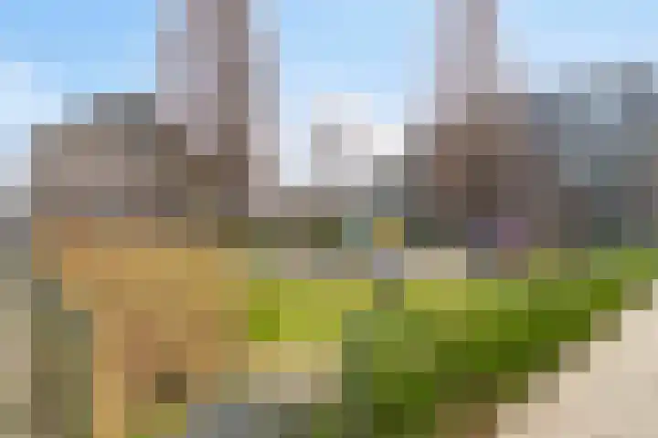 Boschdijk 203 B Eindhoven thumbnail 35