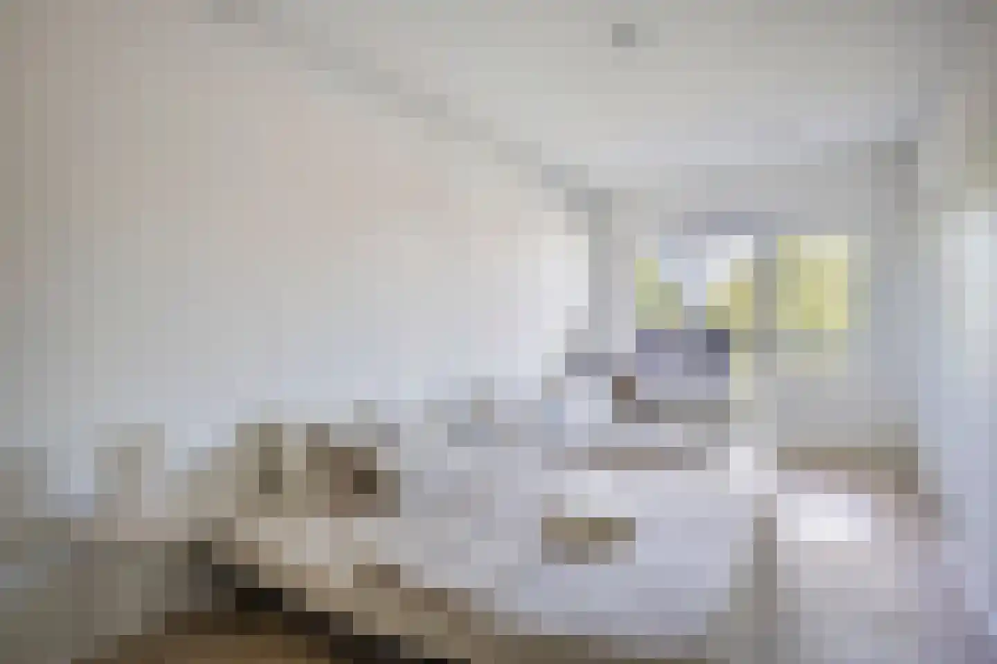 Boschdijk 205 E Eindhoven thumbnail 19