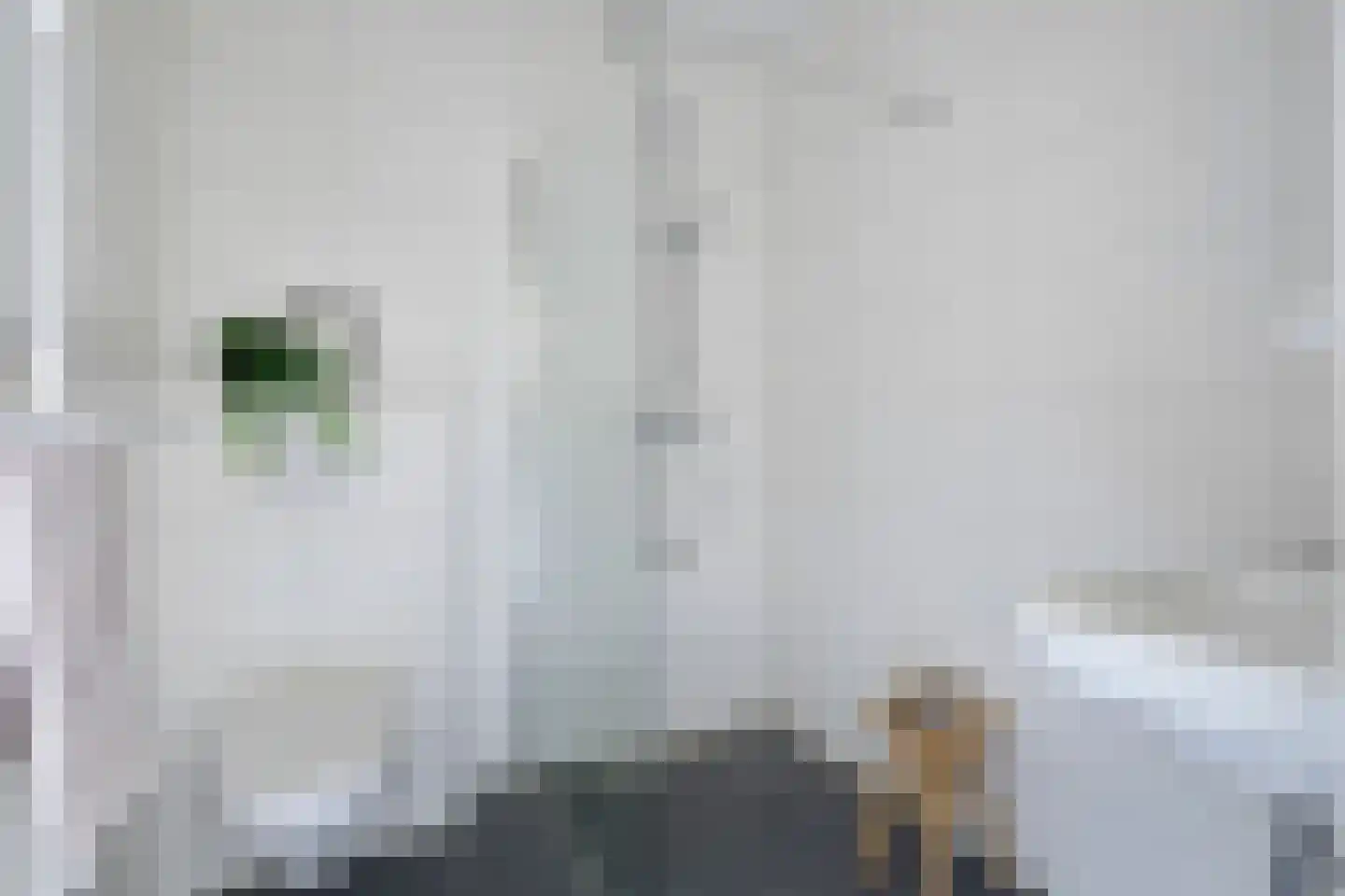 Boschdijk 205 E Eindhoven thumbnail 5
