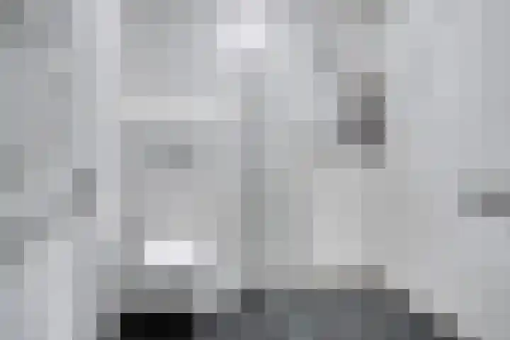 Boschdijk 209 B Eindhoven thumbnail 20